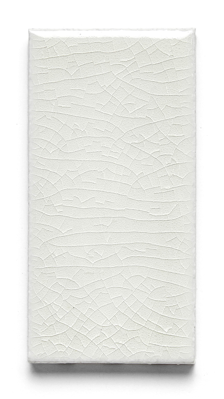 5 White [ICE-61]